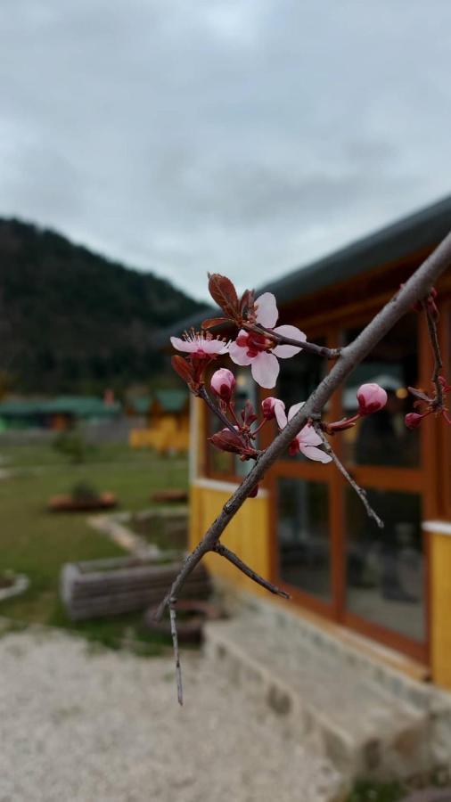 Camping Farm Shelegur Leskovik Eksteriør bilde